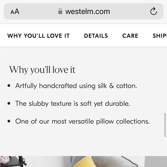 West Elm silk Handloomed Pillow Cover (set of 2) - Picture 5 of 7